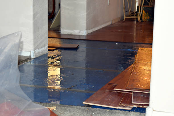 Professional Basement Flooding technician working in Mart, TX